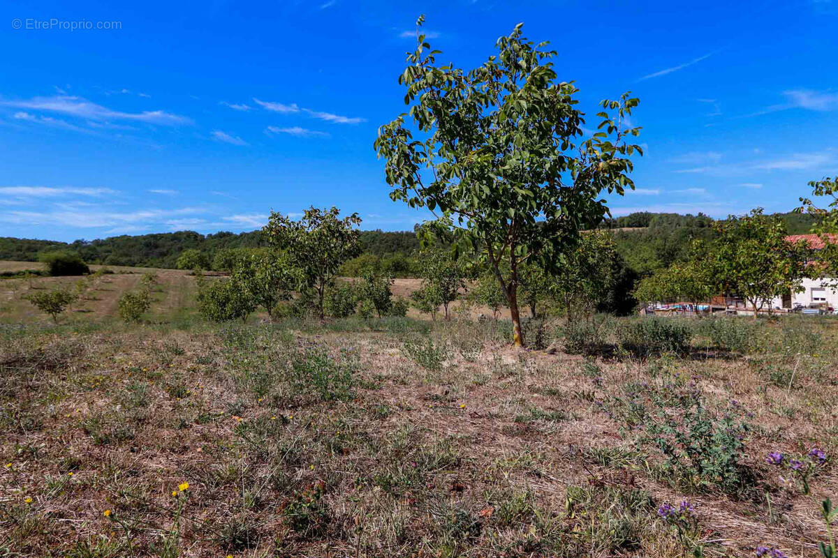 Terrain à SARLAT-LA-CANEDA