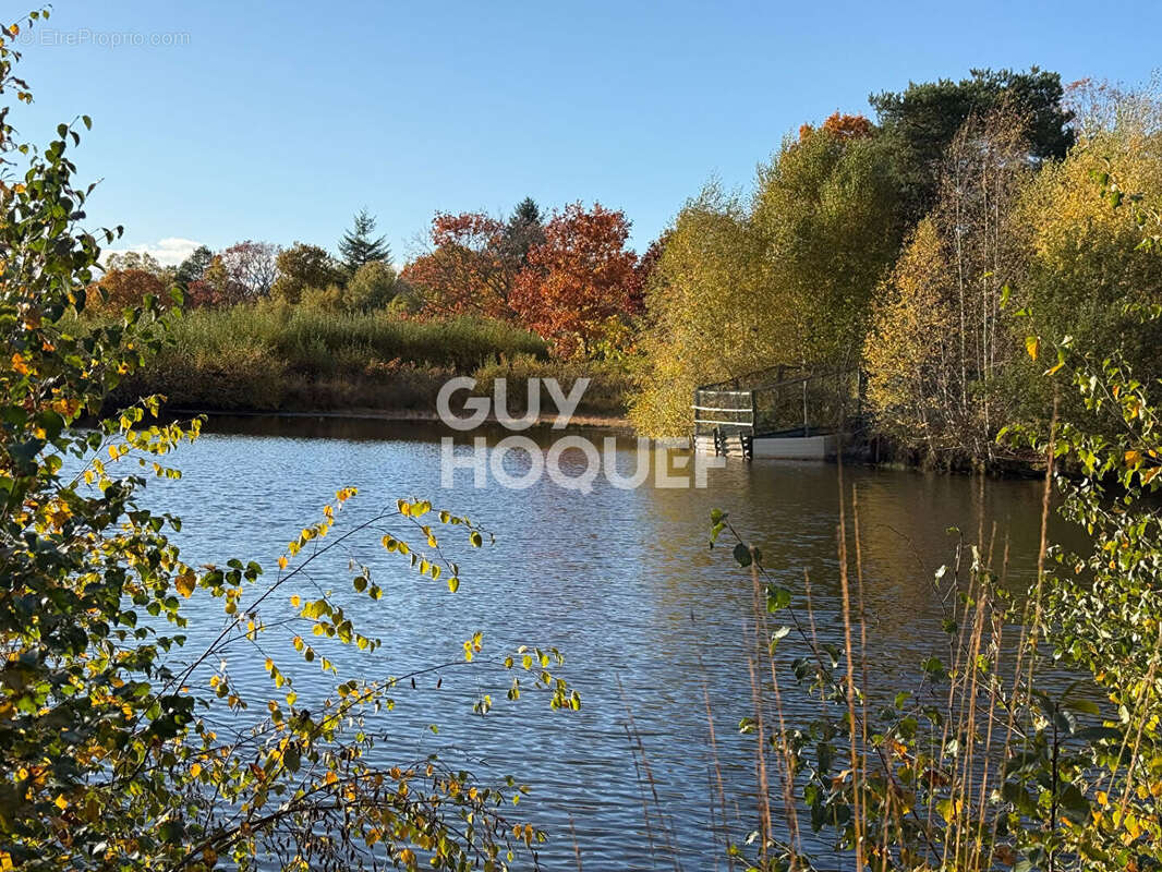 Terrain à LAMOTTE-BEUVRON