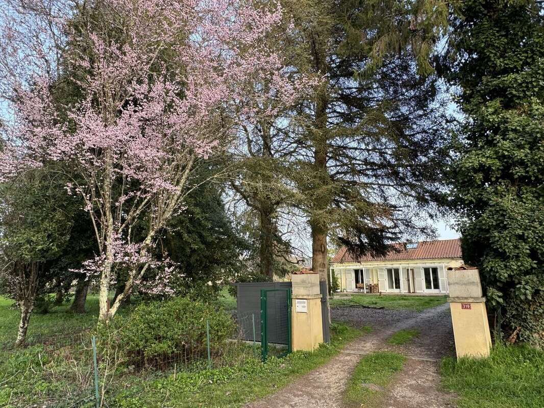 IMG1822 - Maison à SAINT-CYPRIEN