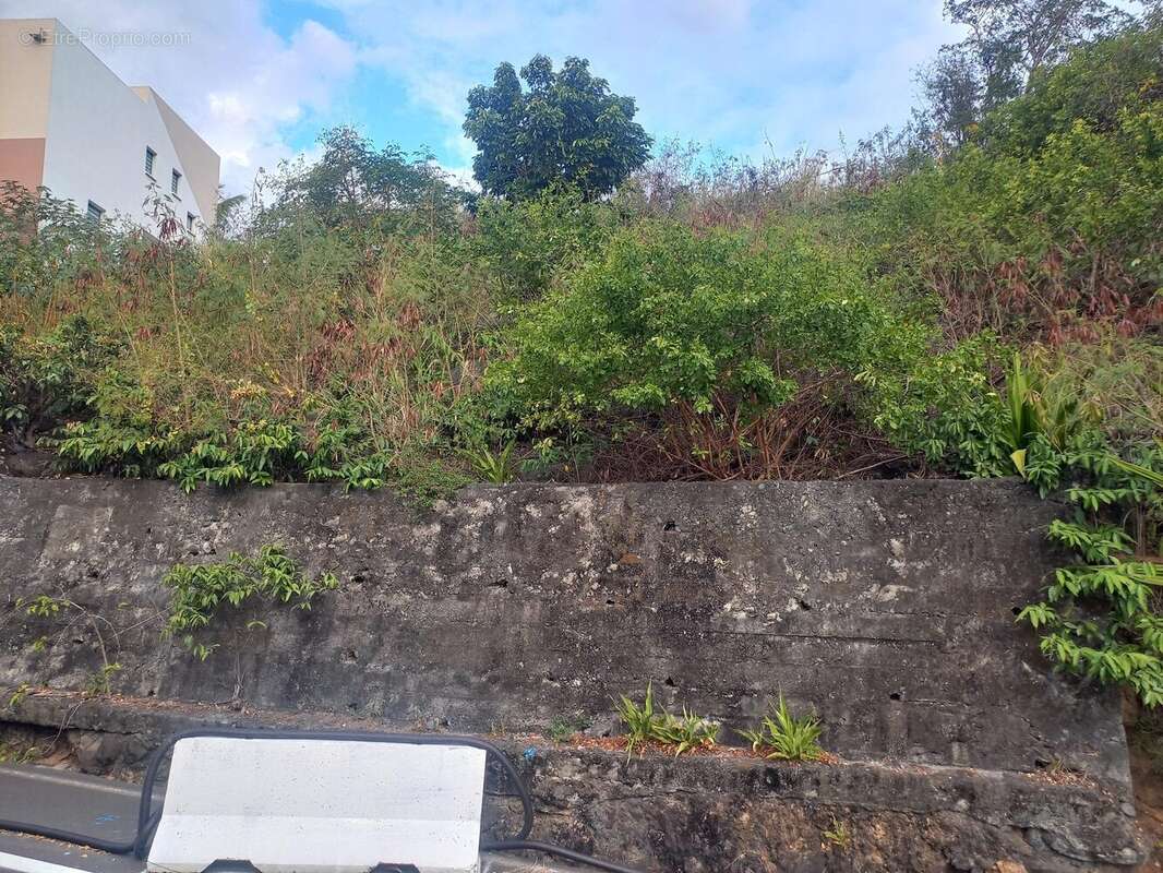 Terrain à SAINT-DENIS