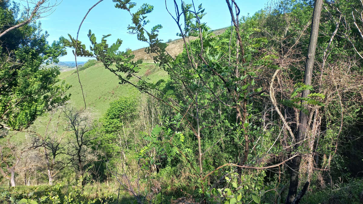 Maison à LOHITZUN-OYHERCQ