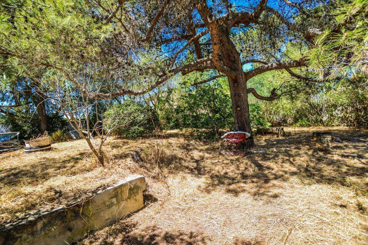 Rare à la vente – Terrain à bâtir avec piscine et poolhouse – Villeneuve-lès-Avignon - photo 6