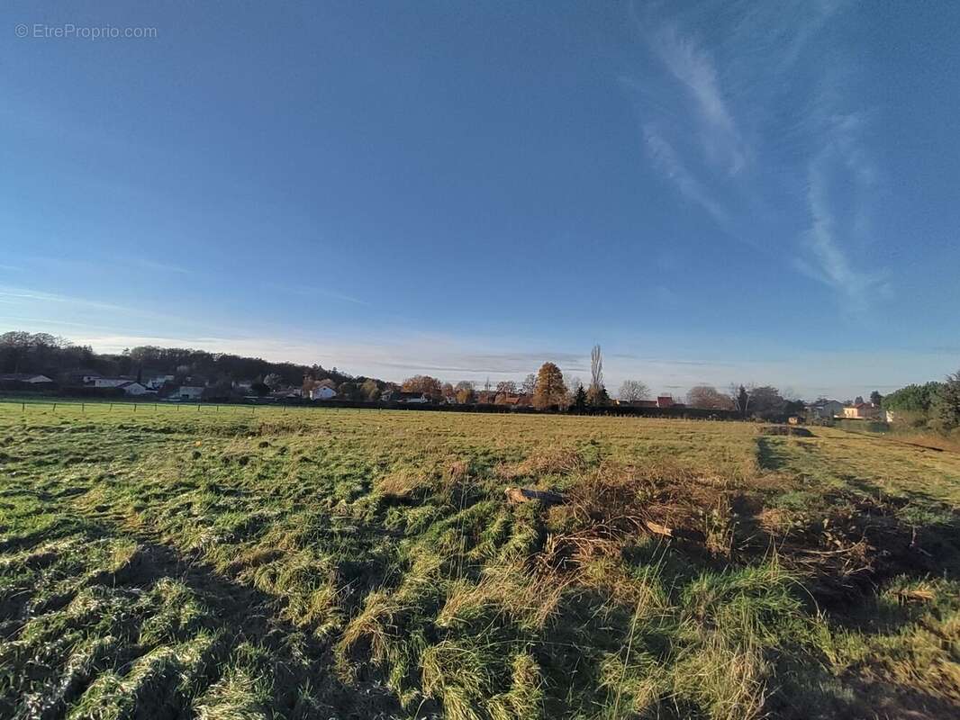 Terrain à BELLERIVE-SUR-ALLIER