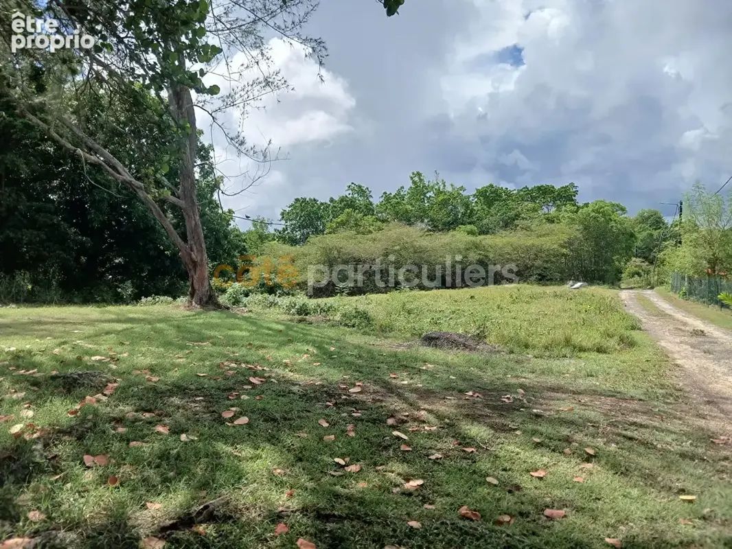 A vendre terrain sur Sainte-Anne - photo 3