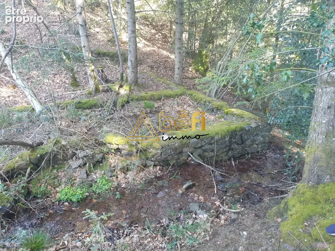 Terrain 20 200 m² à vendre à Messeix (63750) - photo 2
