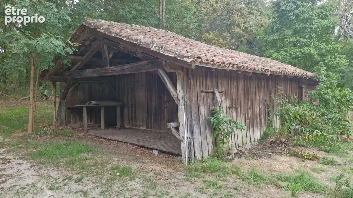 Authentique airial landais a proximite du bourg de linxe - photo 10