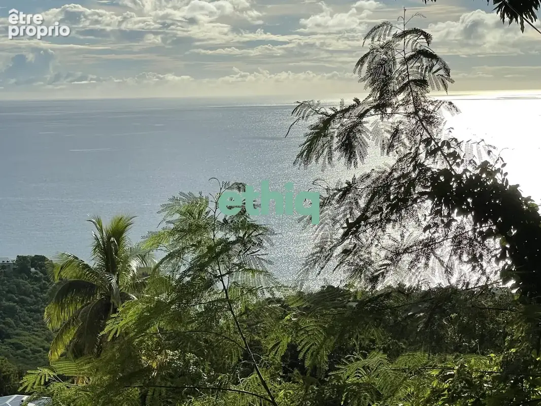 Photo Terrain à Bouillante au prix de 550 000€