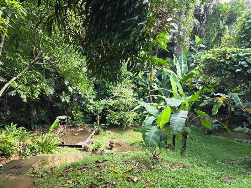 Maison à BAIE-MAHAULT