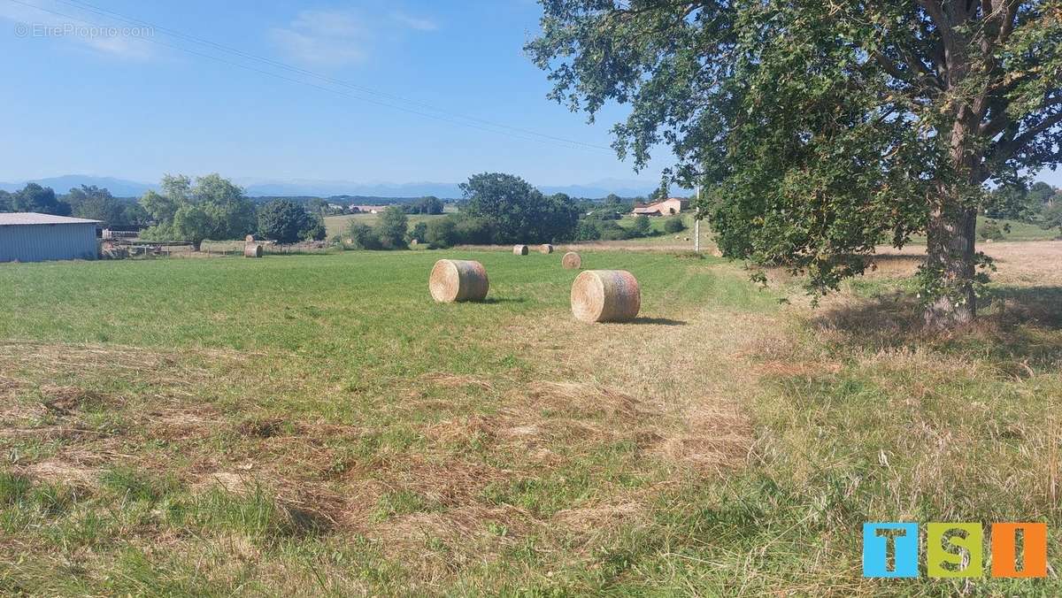 Terrain à CIADOUX