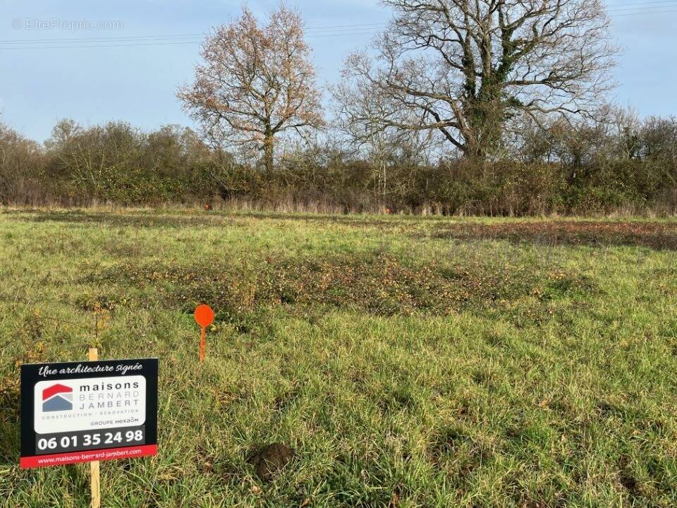Terrain à SAINT-REMY-EN-MAUGES
