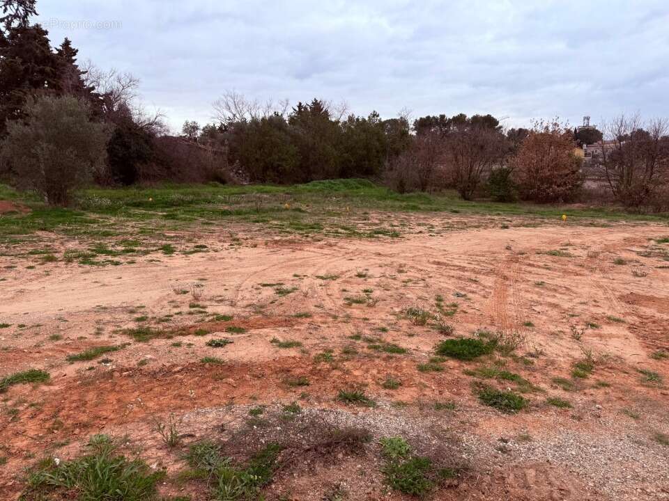 Terrain à POURRIERES