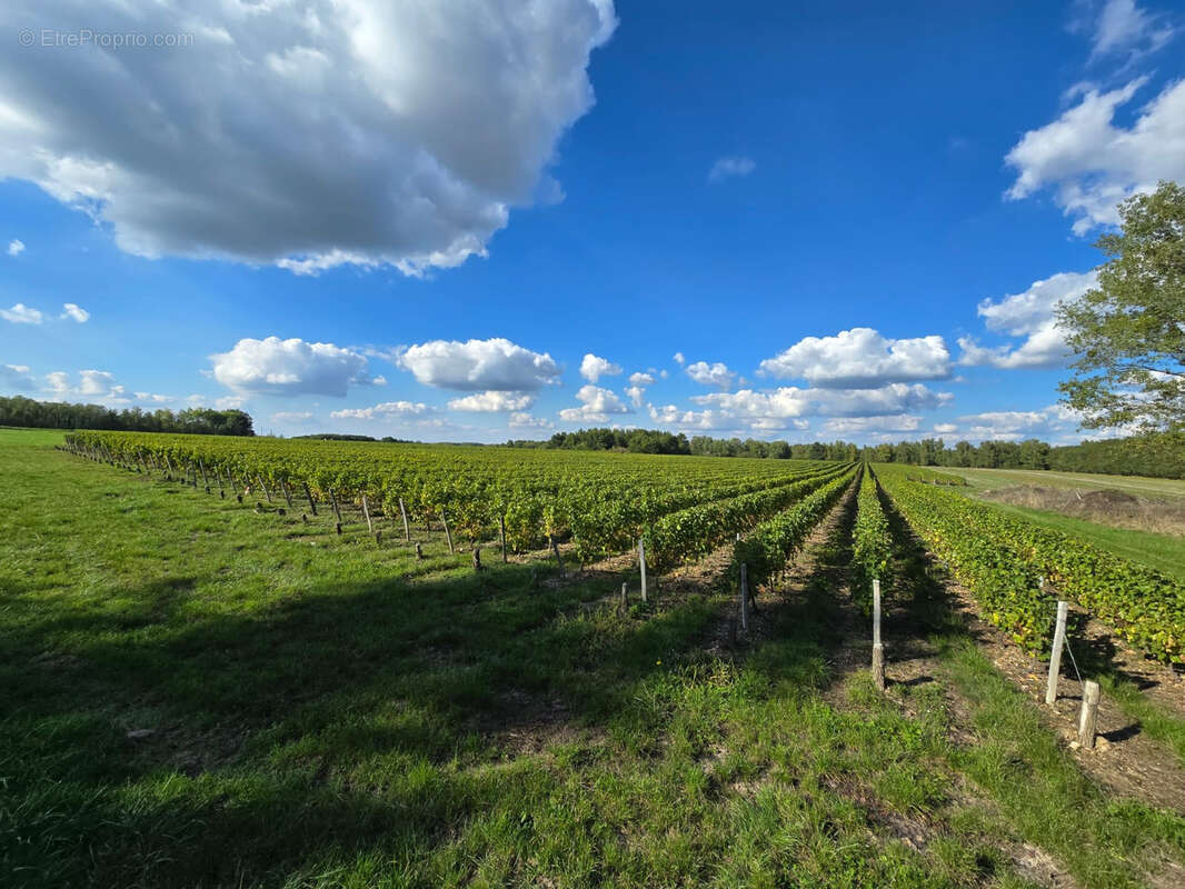 Terrain à FONTGUENAND