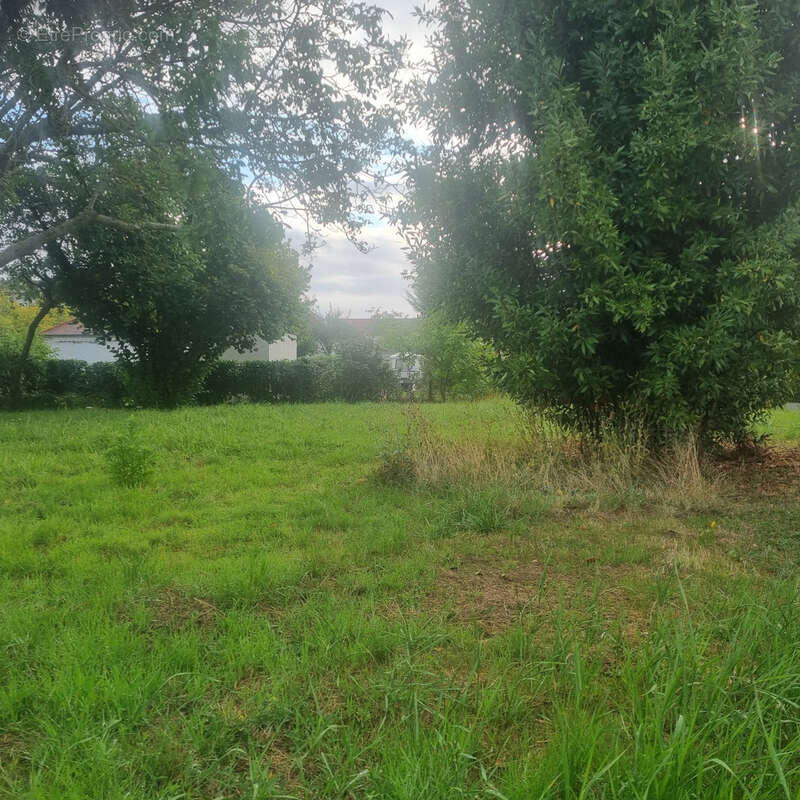 Terrain à TOURS