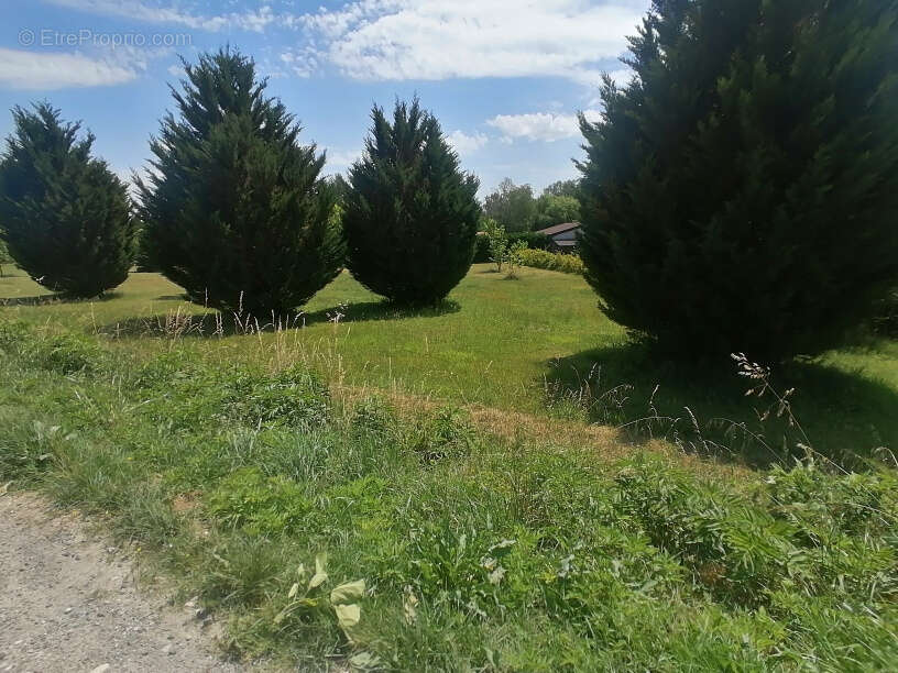 Terrain a batir sur moissac - photo 3