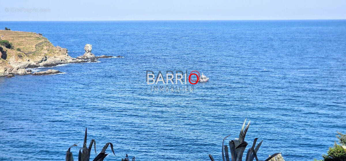 Appartement à BANYULS-SUR-MER