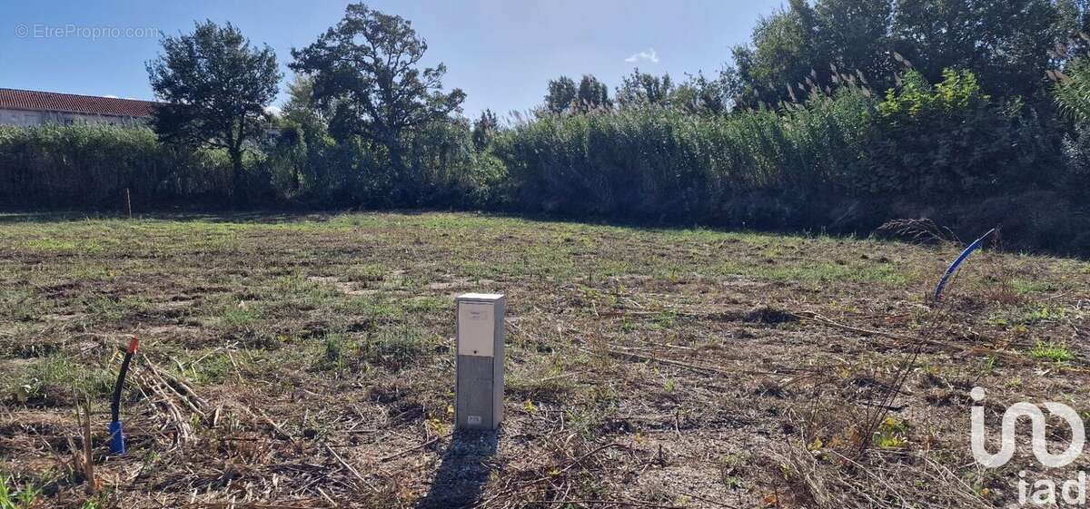 Photo 4 - Terrain à BAHO