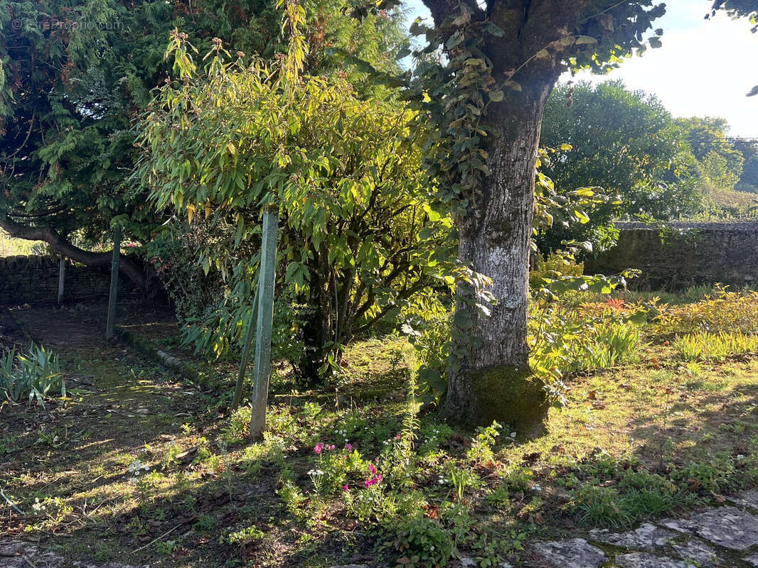 Photo 6 - Maison à CHAROLLES