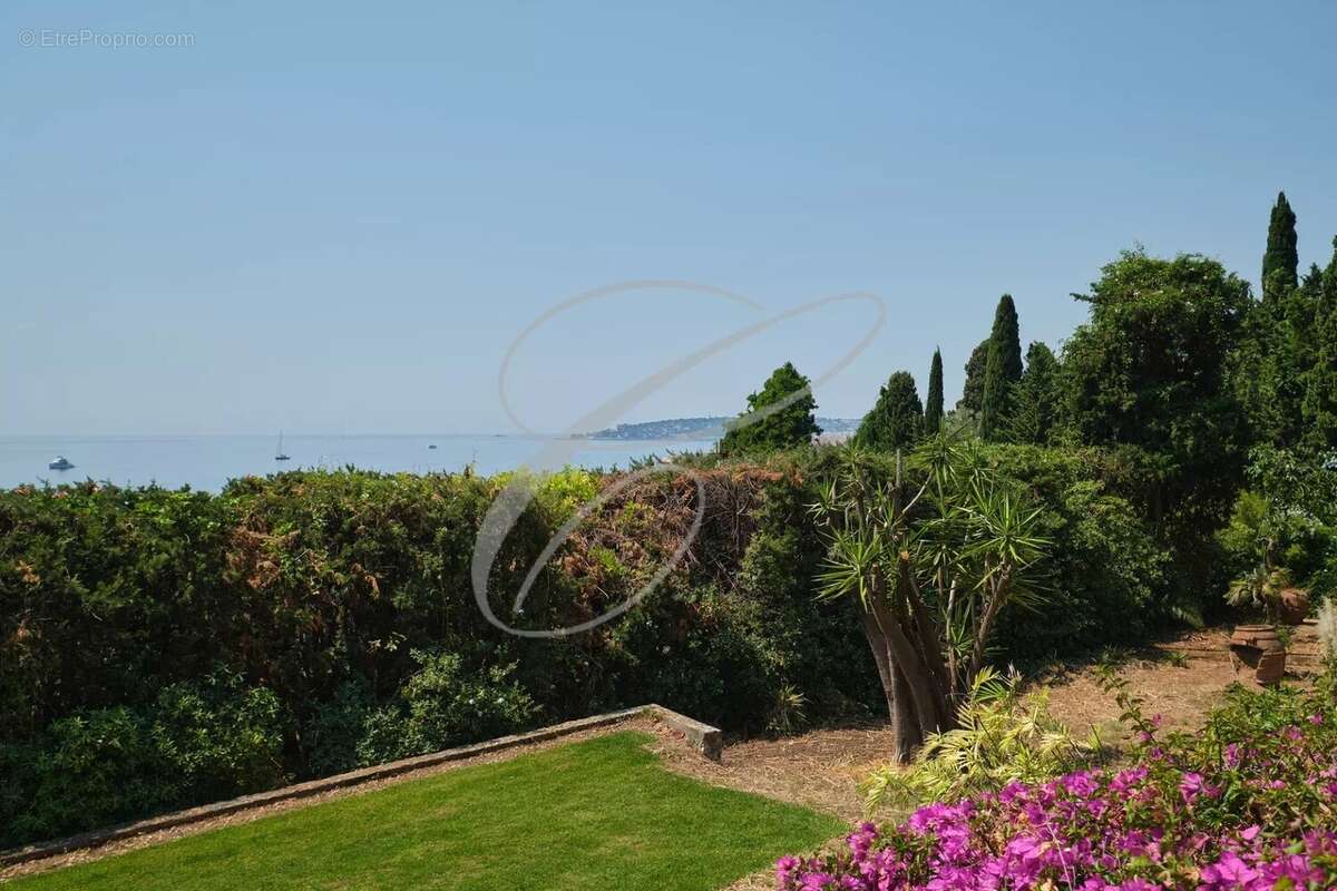 Menton garavan - propriete - photo 8