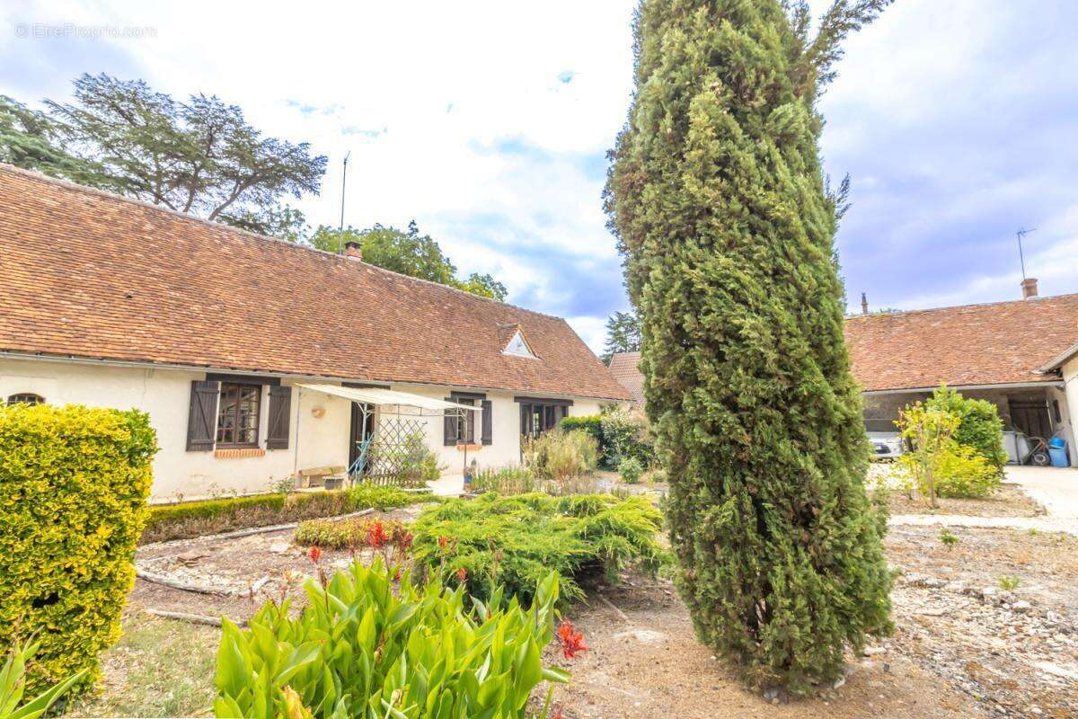 Maison à CHABRIS
