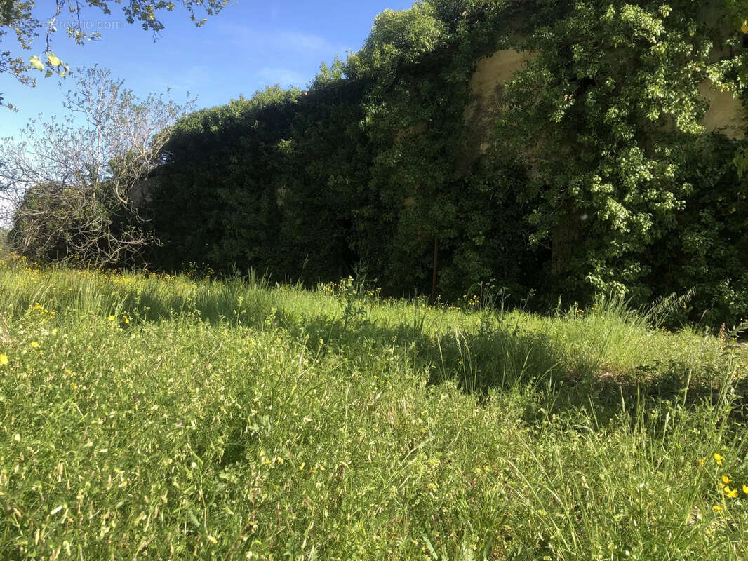 Maison à COURTHEZON