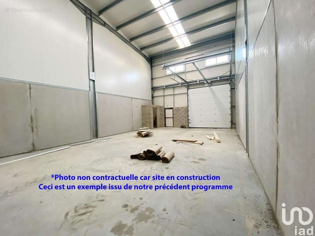 Photo 5