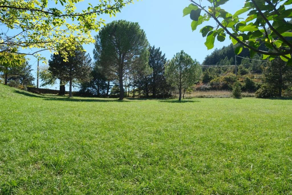 Maison à VILLENEUVE-DE-BERG