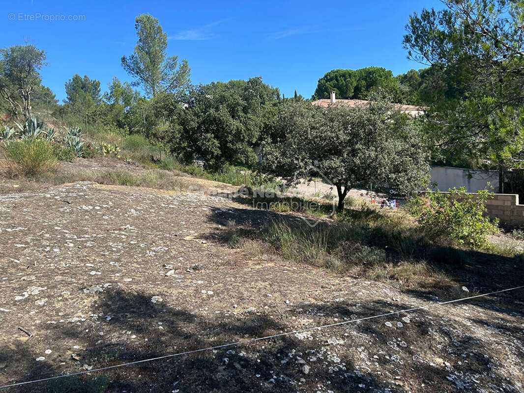 Terrain à VILLENEUVE-LES-AVIGNON