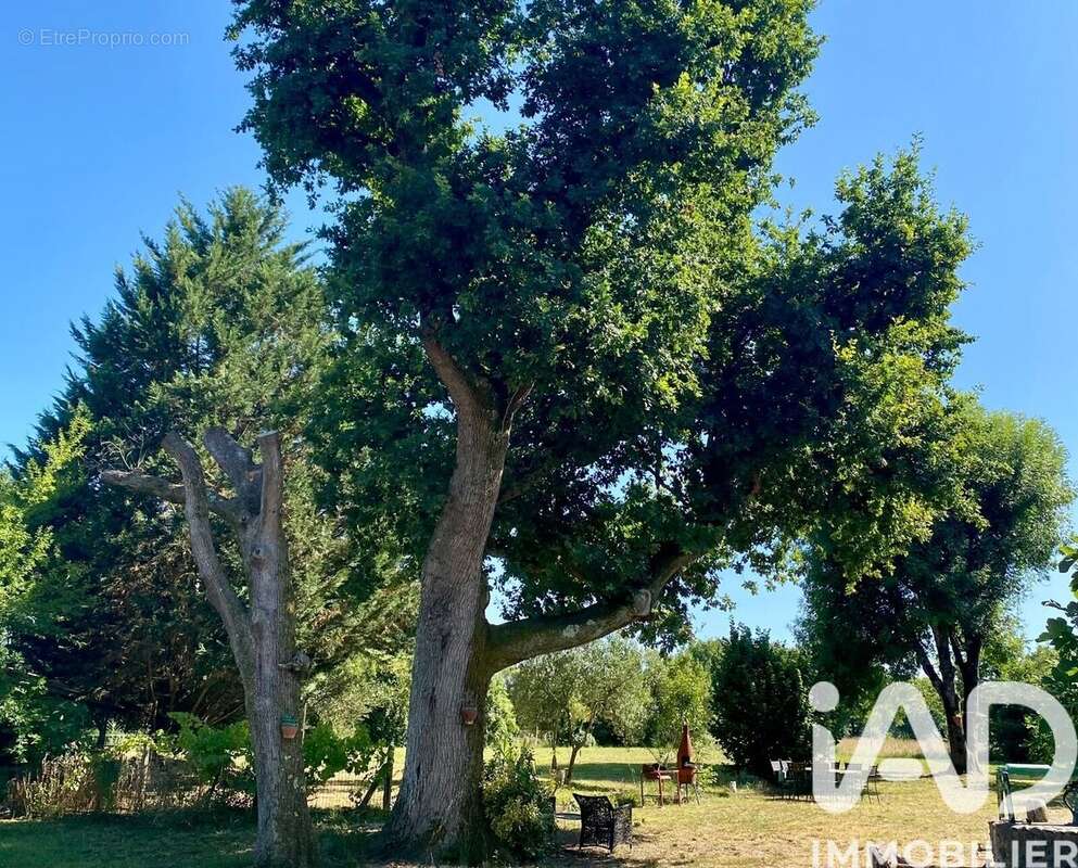 Photo 3 - Maison à AIRE-SUR-L&#039;ADOUR
