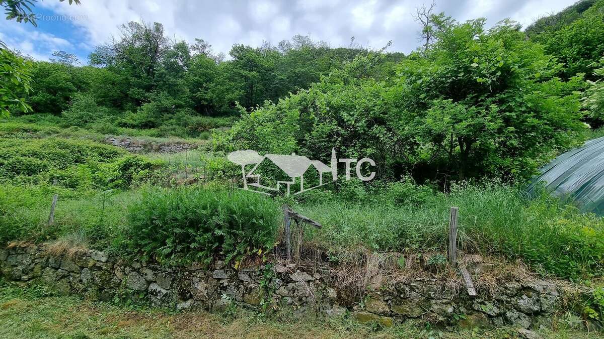 Maison à MONTSELGUES