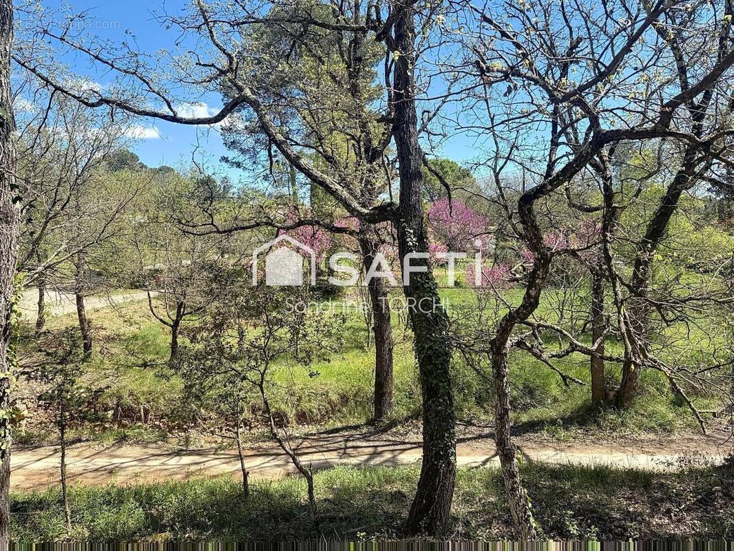 Photo 1 - Terrain à LORGUES