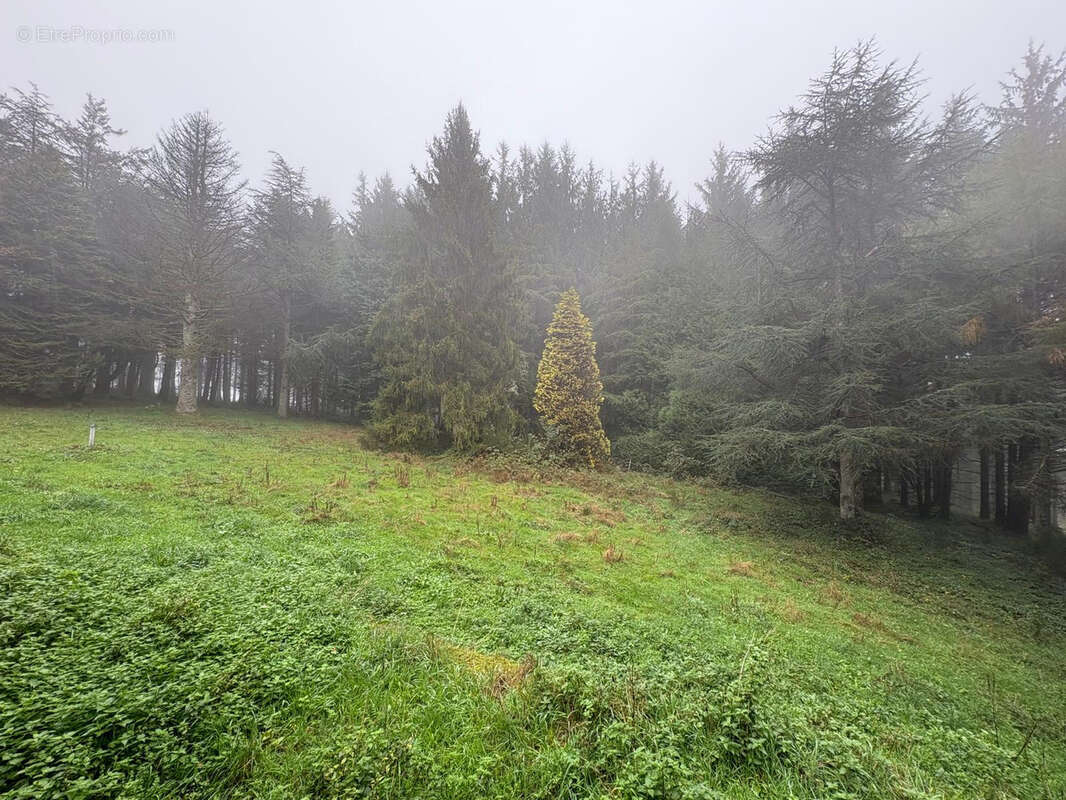 Maison à CASSAGNOLES