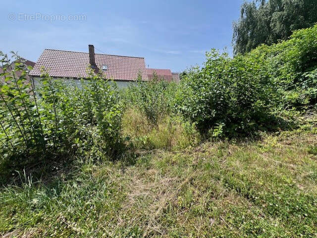 Terrain à NIEDERBRONN-LES-BAINS