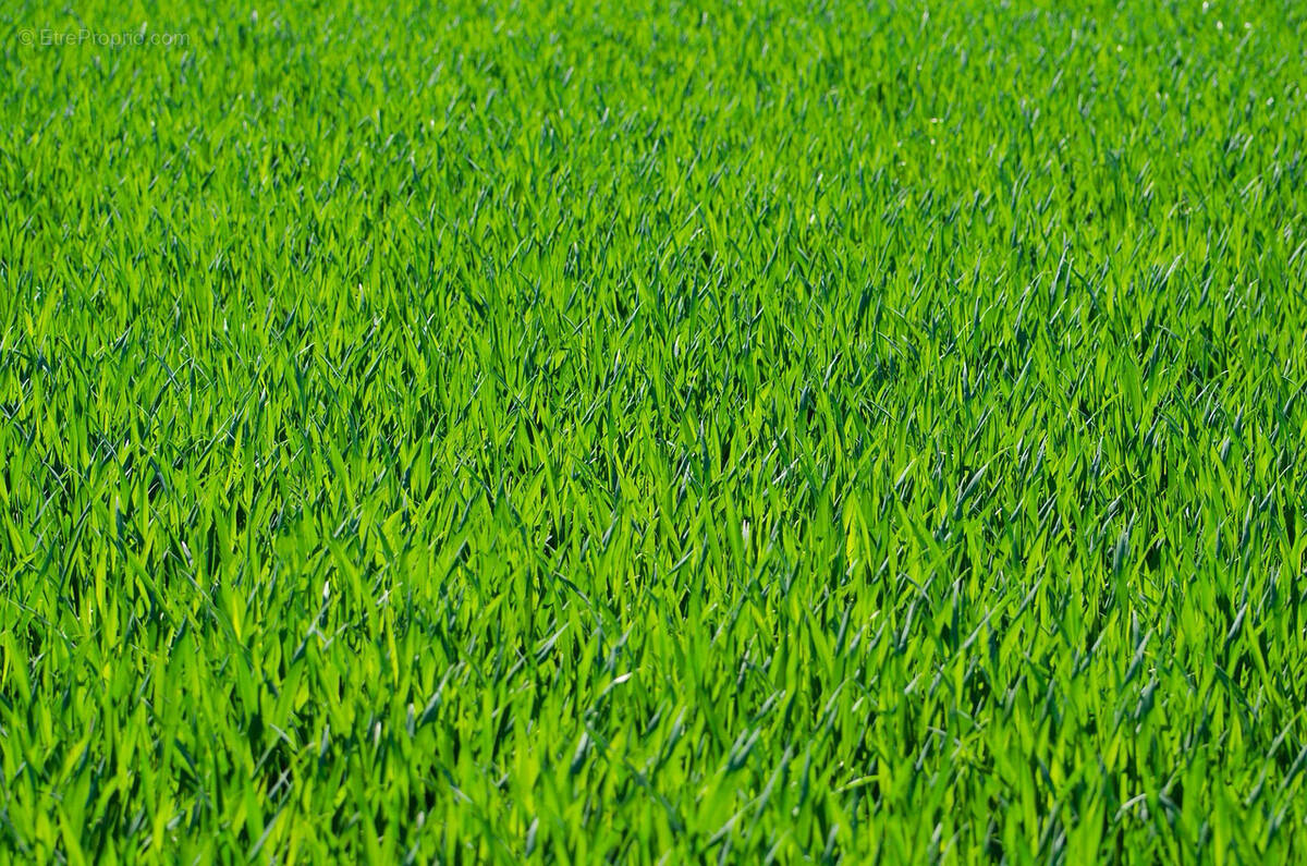 Terrain à EYGUIERES