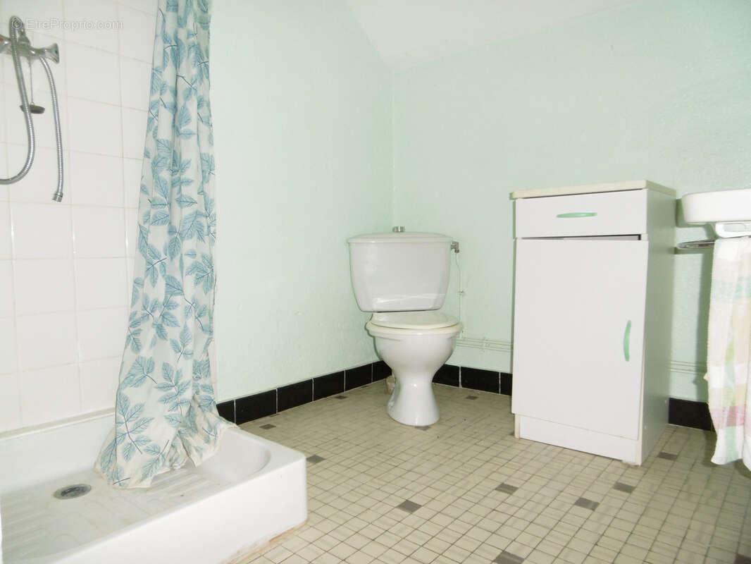 Maison à SAINT-CHRISTOPHE-EN-BRIONNAIS