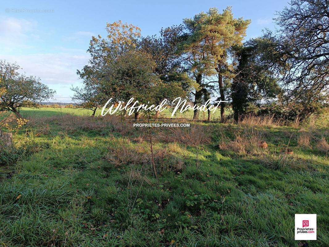 Maison à SAINT-VINCENT-DU-LOROUER