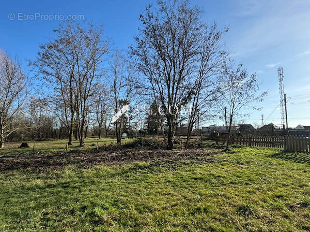 Maison à MOMMENHEIM