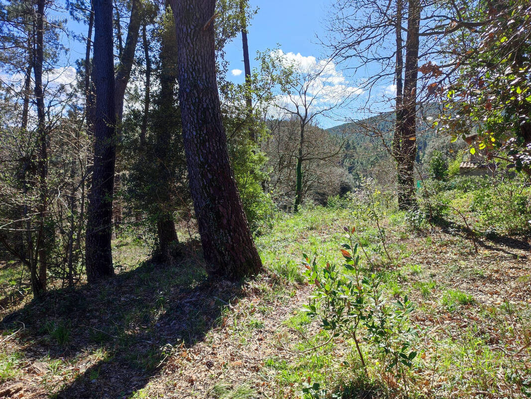 Terrain à LAVAL-PRADEL