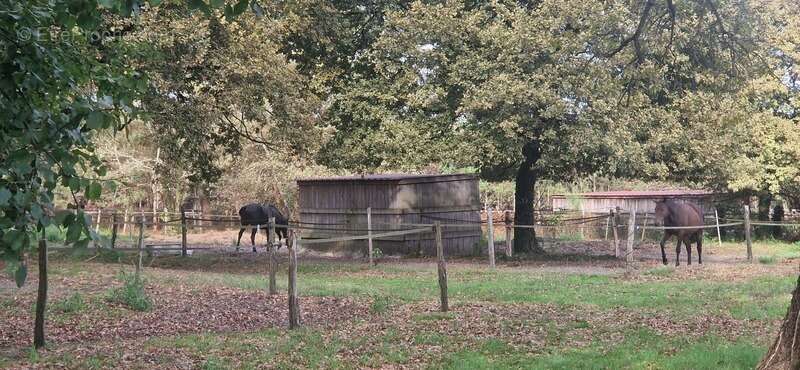 Maison à CREON-D&#039;ARMAGNAC