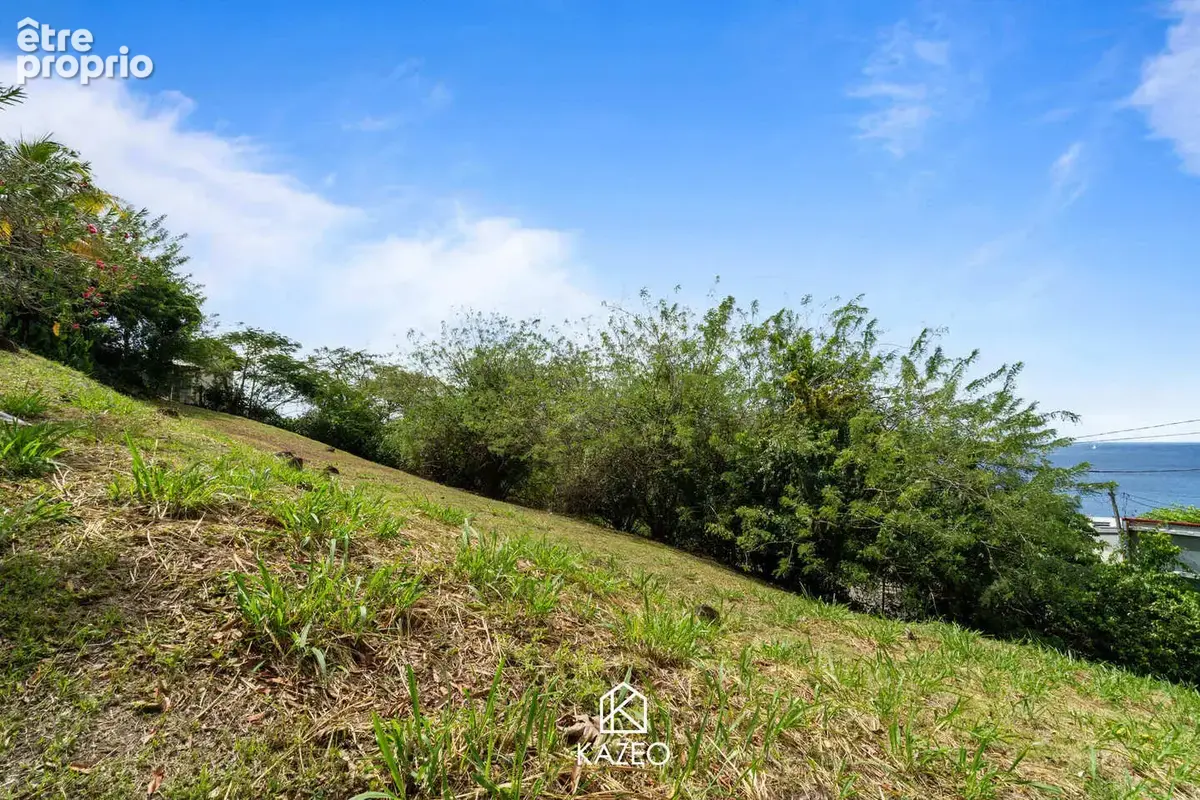 Terrain 1 076 m² à vendre à Schoelcher (97233) - photo 3