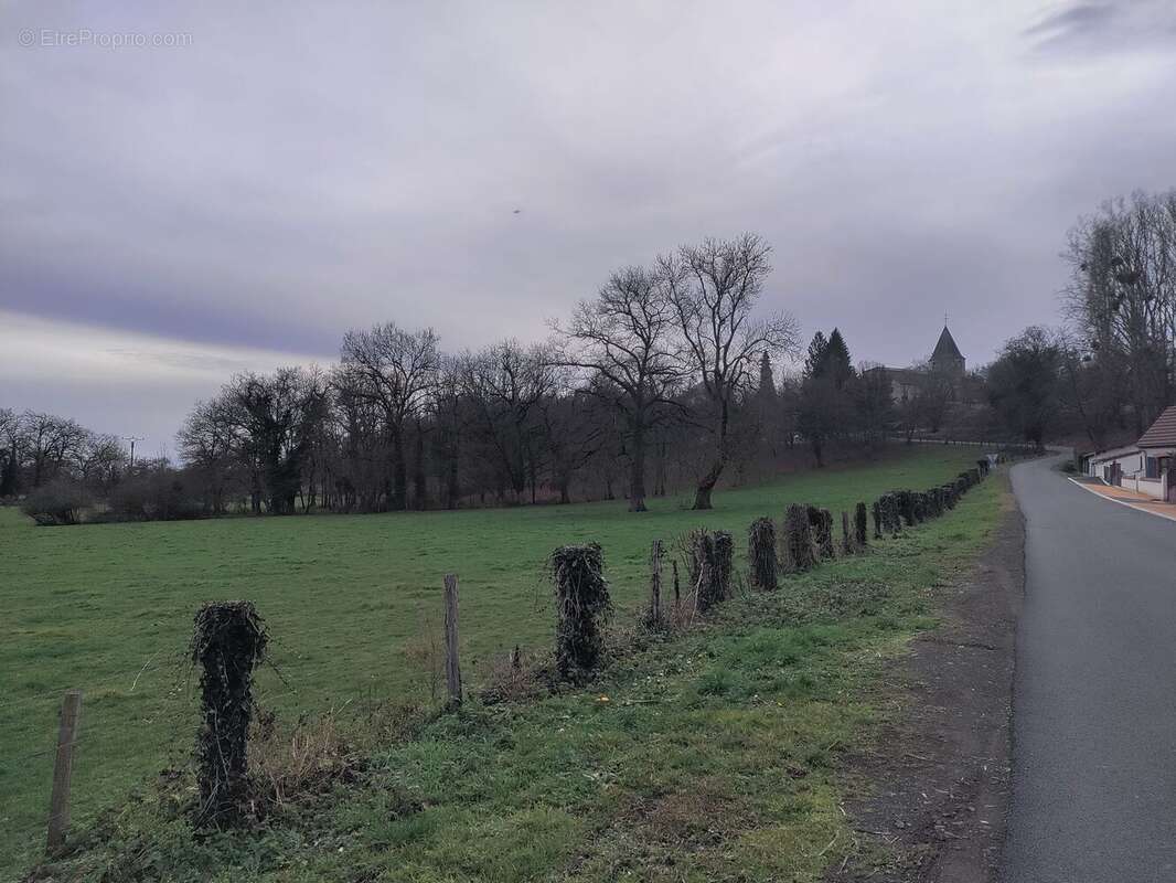 Terrain à CREUZIER-LE-VIEUX