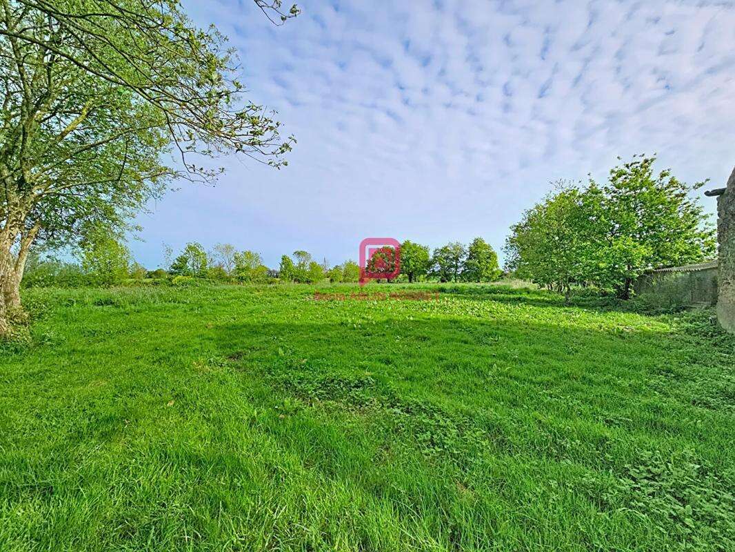 Maison  4 chambres- terrain 8000m² - photo 10
