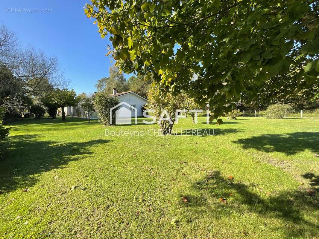 Photo 6 - Maison à QUEYRAC