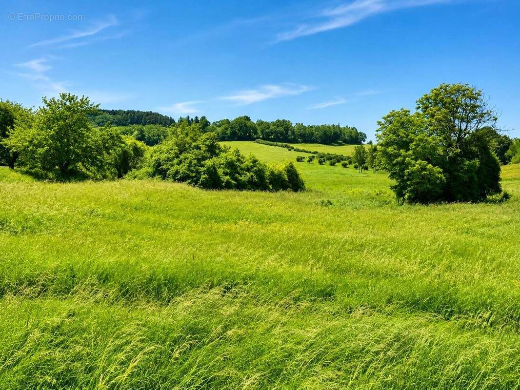 Terrain à LEGUILLAC-DE-L'AUCHE