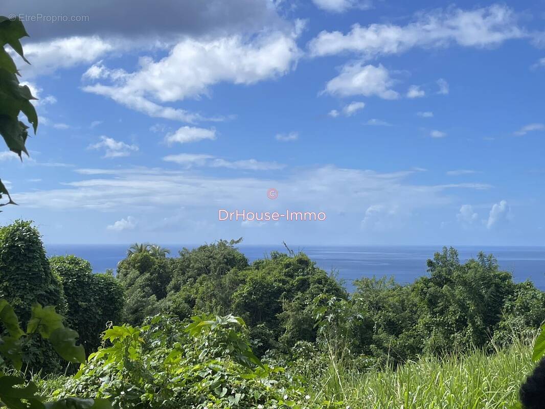 Terrain à VIEUX-HABITANTS