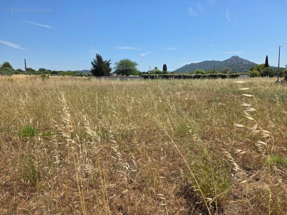 Terrain à LA CRAU