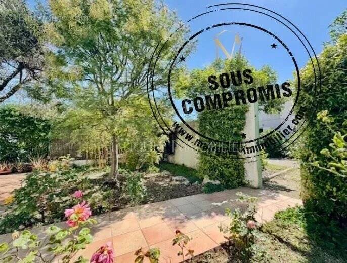 Maison à LA GRANDE-MOTTE