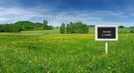 Terrain à VEYRE-MONTON