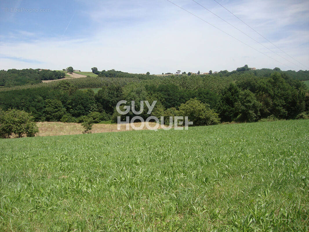 Terrain à MALAUSSANNE