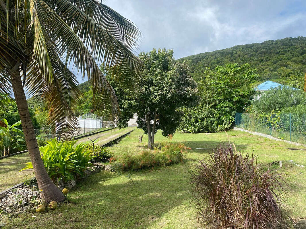 Maison à CAPESTERRE-DE-MARIE-GALANTE