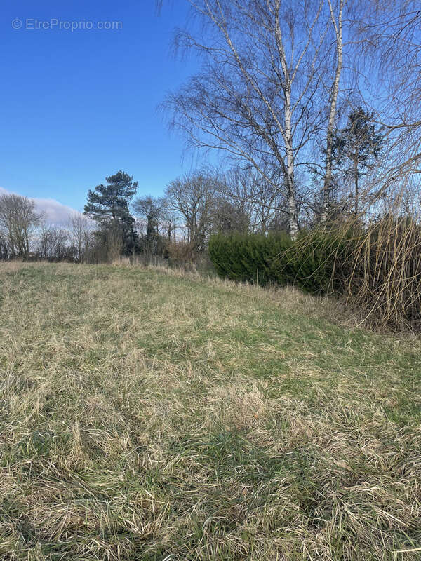 Terrain à BROUSSEY-RAULECOURT